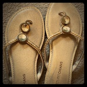 Arturo Chiang Flip Flops